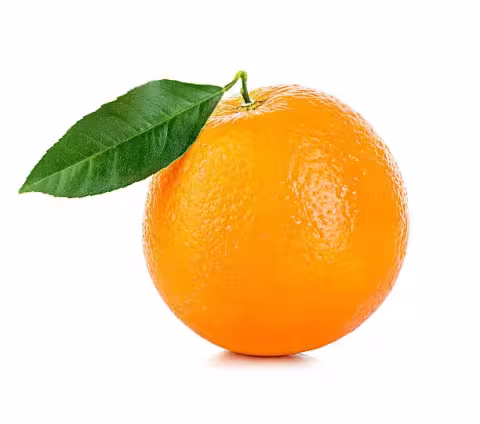 Orange Export